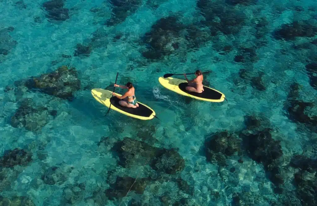 paddle-board-samara
